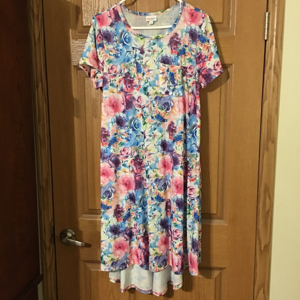 Lularoe Watercolor Rose and Birds Carly (Unicorn)